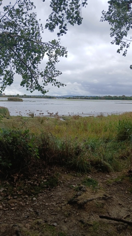 View over the sea in Upton in Poole