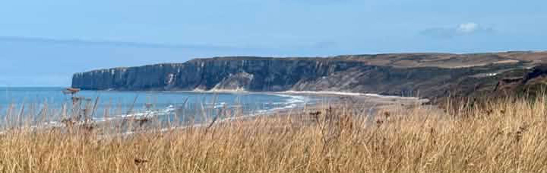 View of Humanby Gap beach