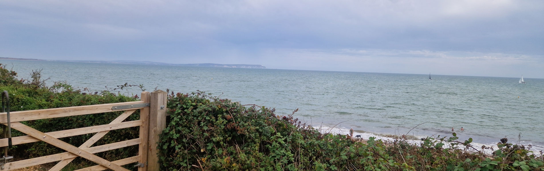 Photo looking over Steamer Point