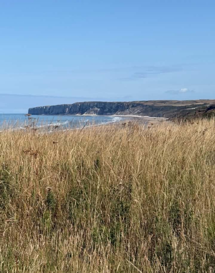 Humanby coast line